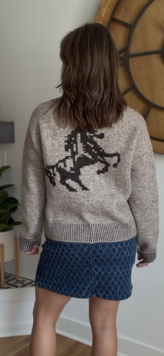 WESTERN COLLARD SWEATER