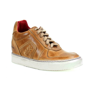 ANDROMEDA SNEAKER | BED STU