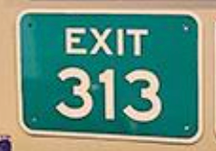 EXIT 313 SIGN