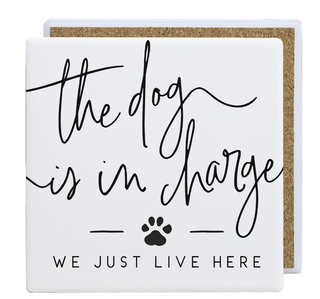 FULL SIZE COASTERS